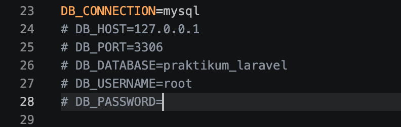 Laravel Setup