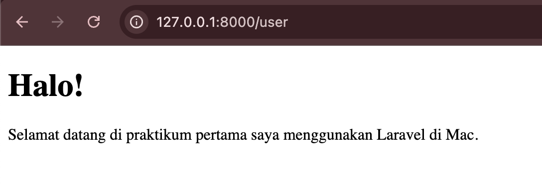 Laravel Setup